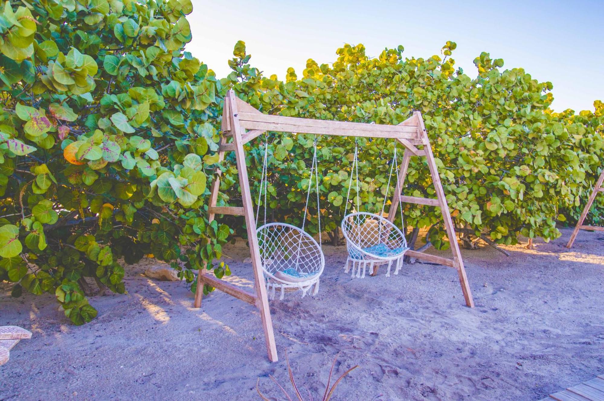 Glamping Ecolodge Cueva De Las Aguilas Pedernales Bagian luar foto