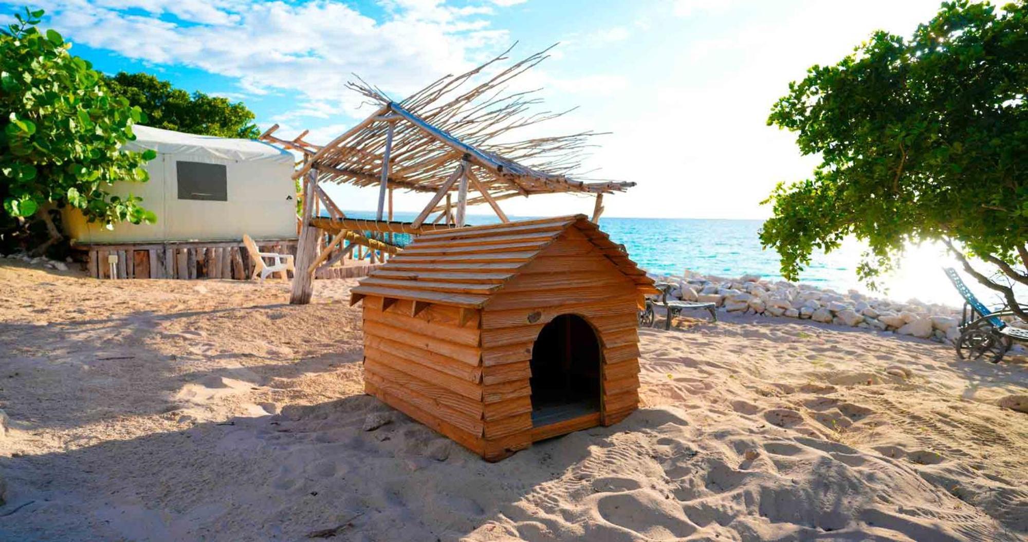 Glamping Ecolodge Cueva De Las Aguilas Pedernales Bagian luar foto